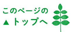 ページTOPに戻る